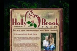 Hollybrook Appaloosas